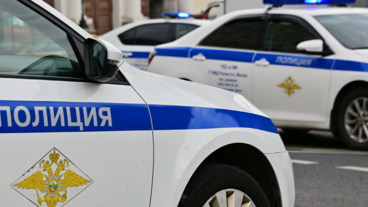 О трупе молчали месяц: В Подмосковье нашли тело куратора кинофестивалей