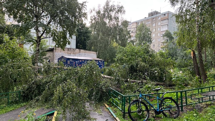 Появились фото последствий урагана в Нижнем Новгороде