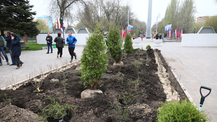 В самарском парке 50-летия Октября появилась древесно-кустарниковая композиция