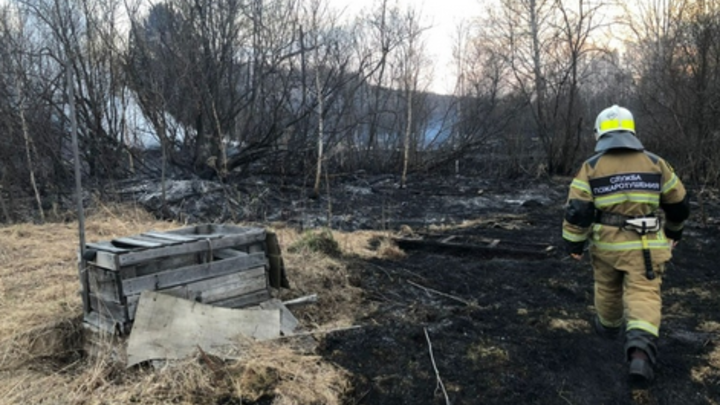 Из-за пожаров в Сибири гибнут люди: Как регионы намерены бороться со стихией