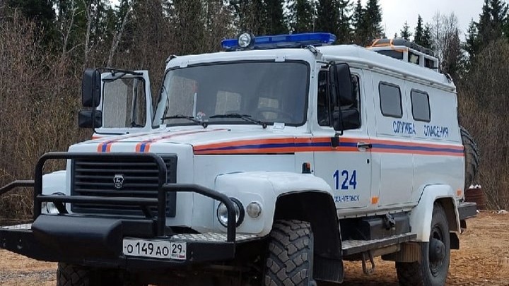 В Шенкурском районе в лесу пропал мужчина