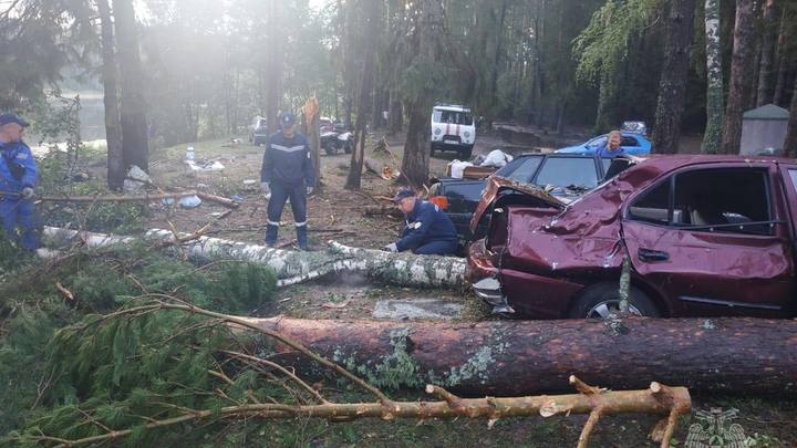 МЧС сообщило о девяти погибших и 67 пострадавших из-за ураганного ветра в Приволжье