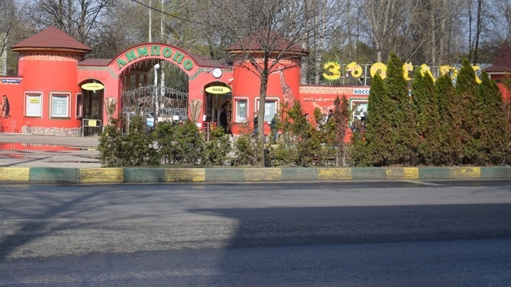 Нижегородцы воруют арендованные детские коляски из зоопарка Лимпопо