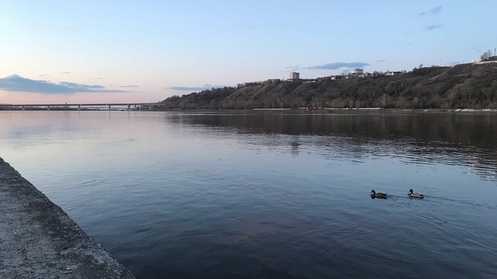 Катер и яхта столкнулись на Оке в Нижнем Новгороде