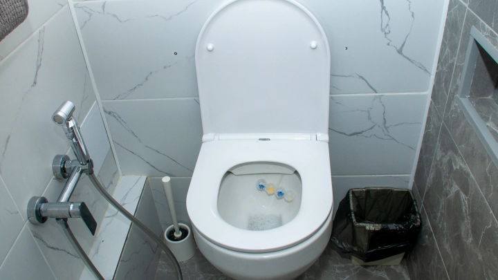 В Европе и Японии отказываются от туалетной бумаги: Почему и что грозит России?