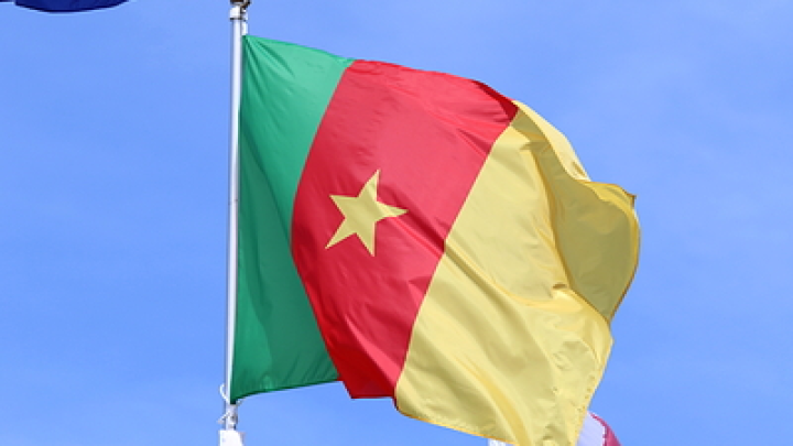 Восьмой срок 92-летнего президента Камеруна начался с протестов населения Восьмой срок 92-летнего президента Камеруна начался с протестов населения