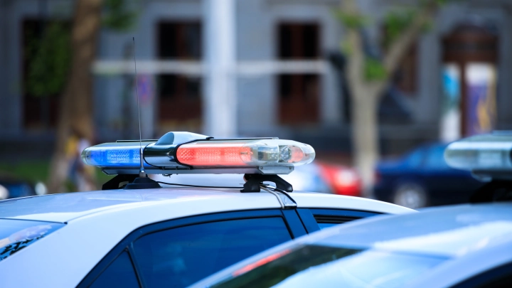 Такого полиция ещё не видела: У убитой модели прямо из гроба выкрали голову