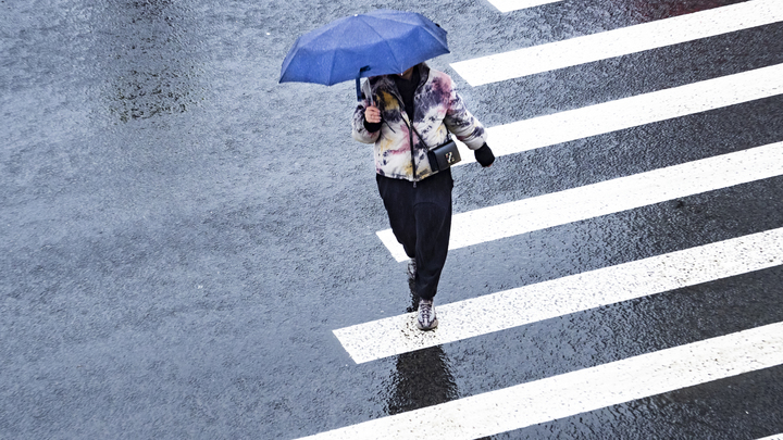 В Краснодарском крае потеплеет до +16°C, местами пройдёт дождь