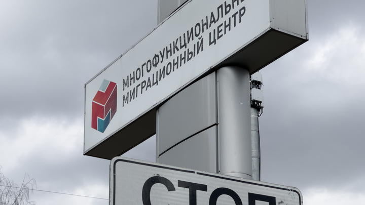 Проникают не секретно, а легально: Толстой предложил закрыть границу для мигрантов с судимостью