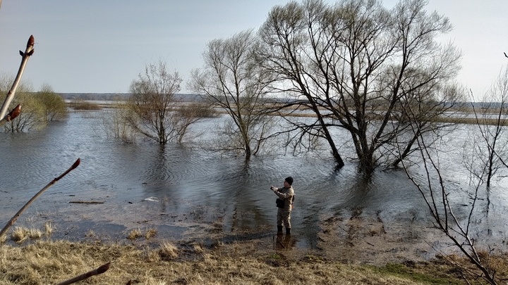 Паводок во Владимирской и Ивановской областях: Волга быстро прирастает, Клязьма вышла на пик