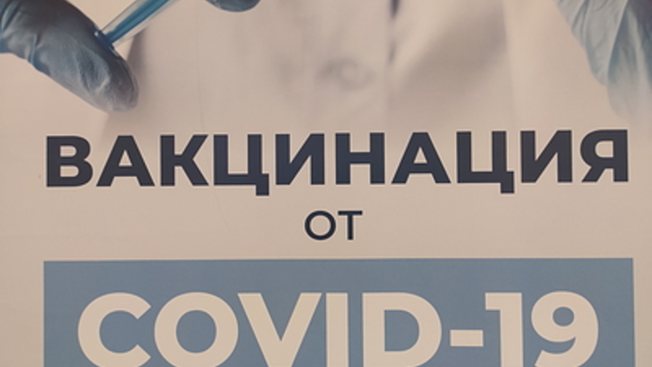 Как сделать прививку против ковида в Нижнем Новгороде в новогодние праздники