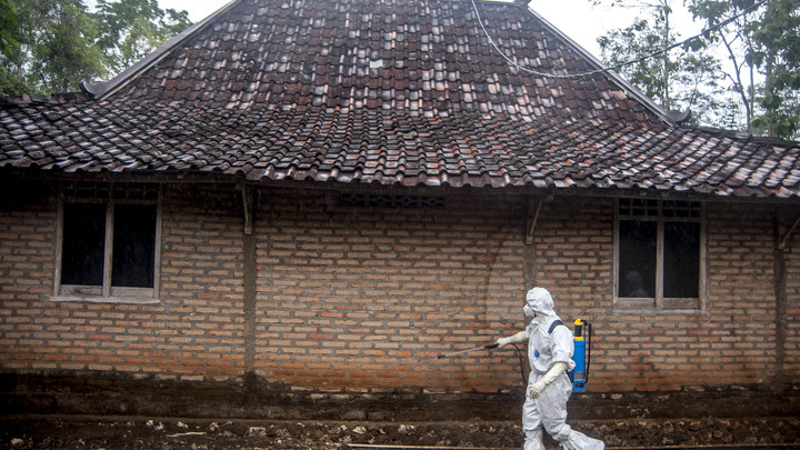 Споры неубиваемы. Вирусолог предупредил о вспышке сибирской язвы