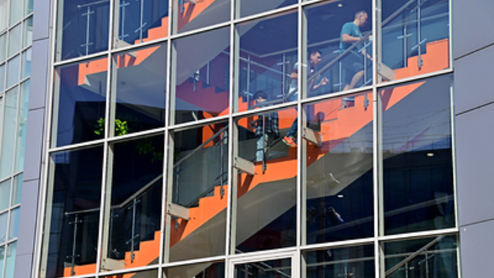 Жители ЖК Чернышевский в Новосибирске находят под окнами десятки мёртвых птиц