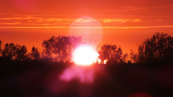 Сколько ещё продлится жара? Климатолог Терешонок дал честный ответ