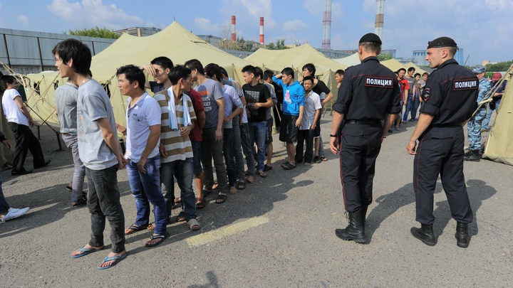 Русские дотянулись до мигрантов через Путина. Мера коснётся и крыши в МВД