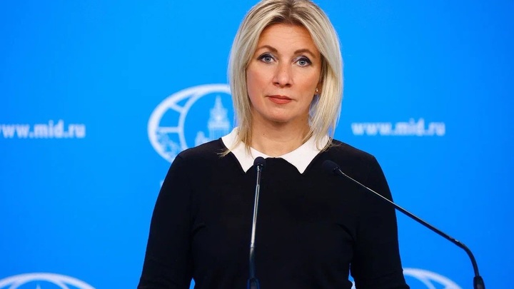 Граничит с пытками: Захарова обвинила Литву в издевательствах над русским журналистом