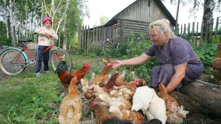 Народные приметы на 14 ноября: что можно и нельзя делать в осенние Кузьминки