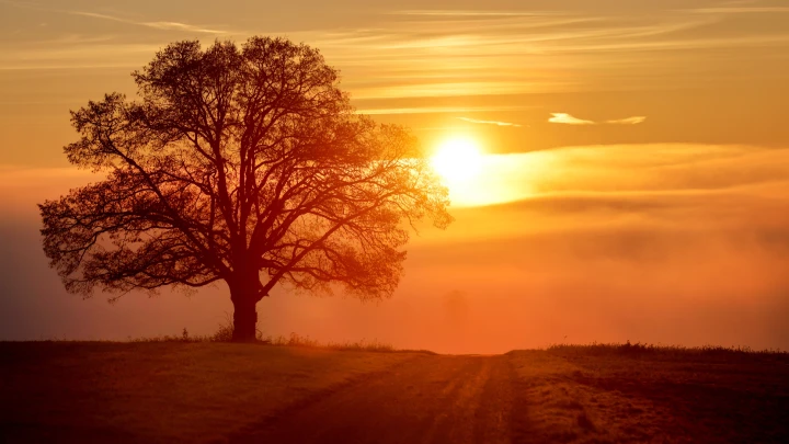 Вспышка высшей категории произошла на Солнце