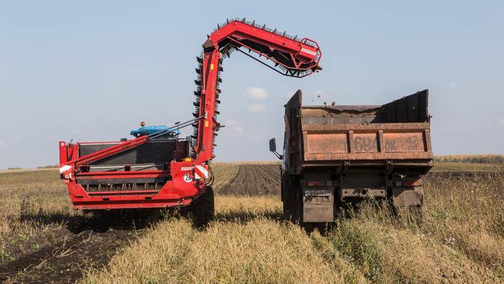 Аграрии Кузбасса получат около 1 миллиарда рублей на развитие