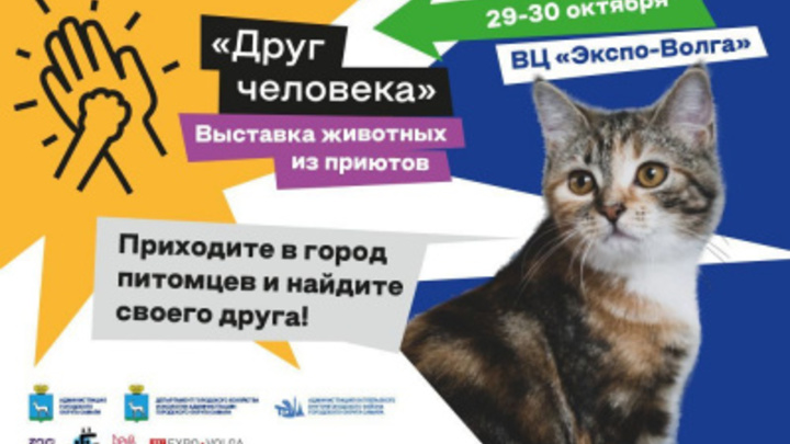 В Самаре пройдет фестиваль-выставка животных из приютов Друг Человека