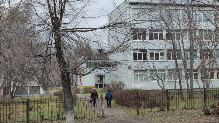 Госдума рассмотрит проект, обязывающий школьников участвовать в общественно-полезном труде
