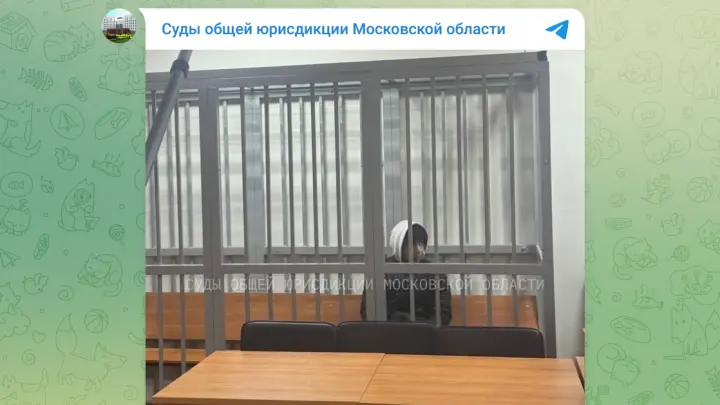 Подозреваемого в убийстве на остановке в Электростали отправили за решетку