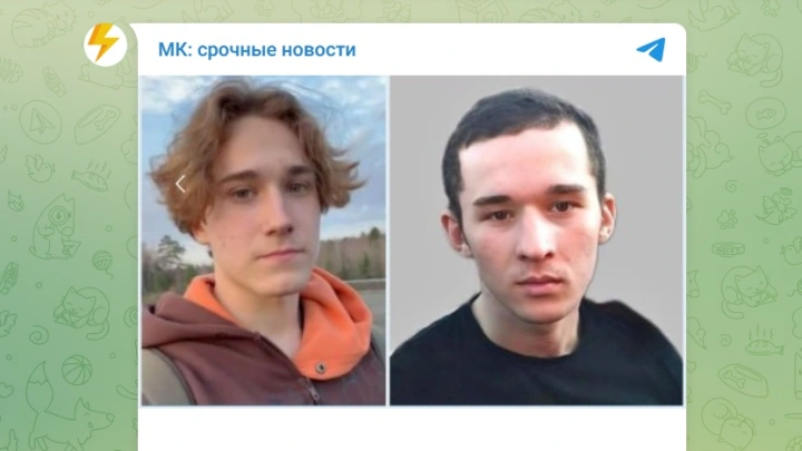Сына вице-премьера Карелии и его друга задавило арматурой в поезде в Подмосковье