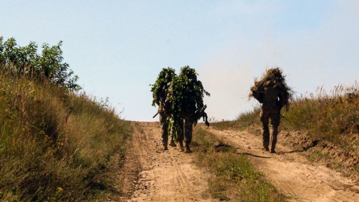 Стремоусов: Укронацисты утратили ударную силу под Херсоном