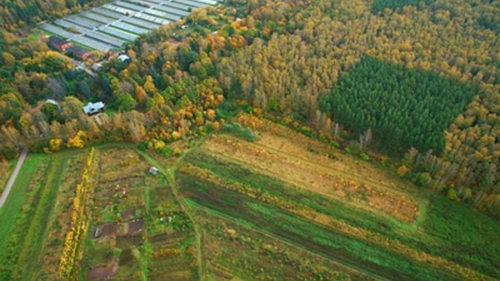 Мишустин поддержал инициативу губернатора Подмосковья по поддержке семеноводства
