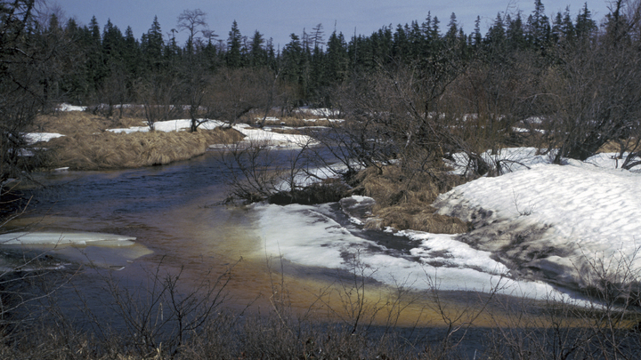 Второй раз за неделю: В Приморье несколько пролётов моста обрушились под легковушкой