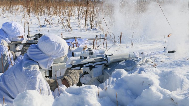 В Чеховском округе в лесу случайно подстрелили пенсионерку из оружия на медведя