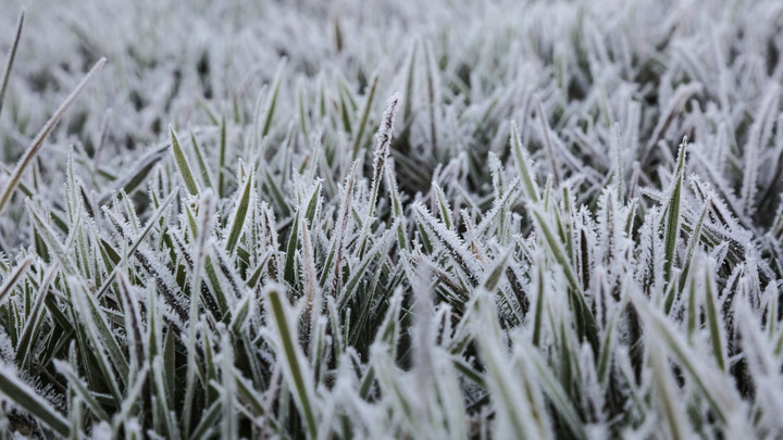 России предсказали новую проблему из-за климата: Ох, как остро!