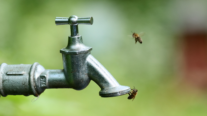 В Геленджике почти на сутки отключат воду в районе ул. Новороссийской из-за ремонта коммуникаций
