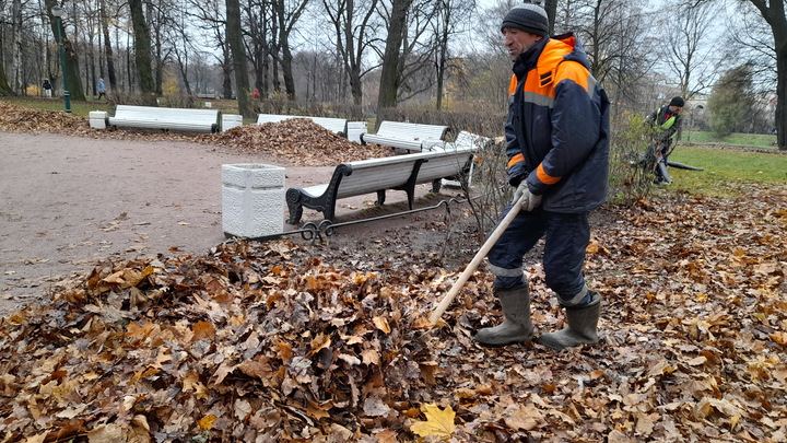 Поморью предложили за три шаги навести порядок в сфере миграции