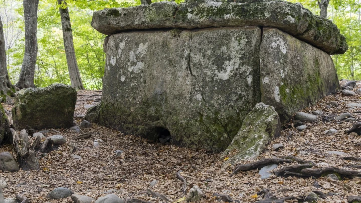 В Великом Новгороде археологи нашли древнейшую печать князя Ярослава Мудрого