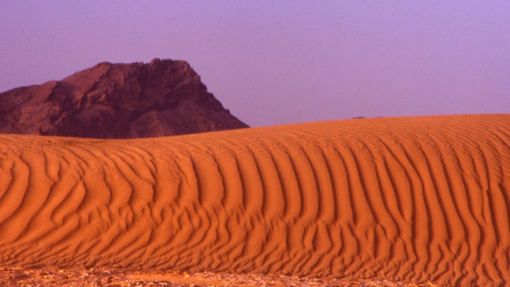 Африка трещит по швам, Россия - на очереди: Учёные зафиксировали начало рождения нового океана