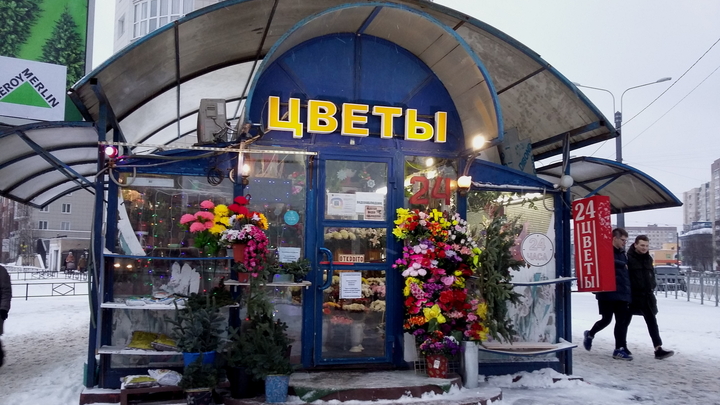 В Новосибирске мужчина отказался платить за букет и подарил его продавцу