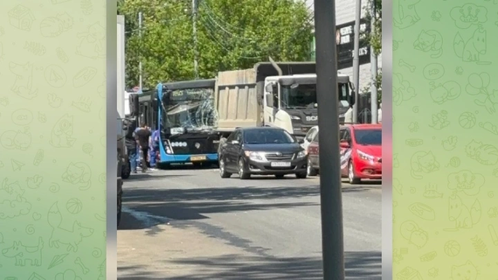 Шесть человек пострадали в ДТП с пассажирским автобусом и самосвалом в Москве