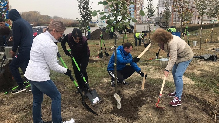 День древонасаждения в Ростове 16 октября 2021: как принять участие, где взять инвентарь