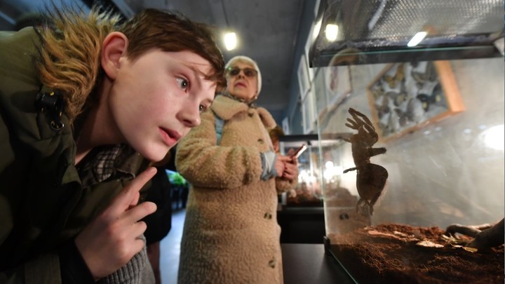 В Волгограде огромный паук укусил подростка прямо на огороде: Доставлен в реанимацию