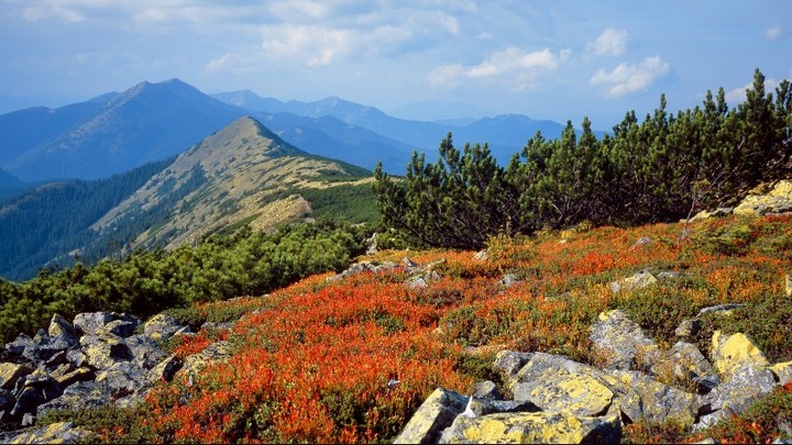 Пересёк три границы, одну из них - пешком. Как Штирлиц из Закарпатья добирался до Москвы