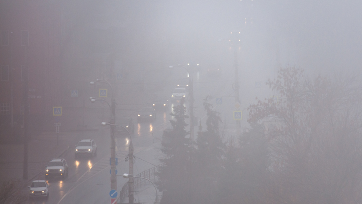 Москвичей предупреждают о сильном тумане