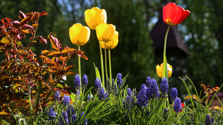 Сергей Собянин поздравил москвичей с 1 Мая