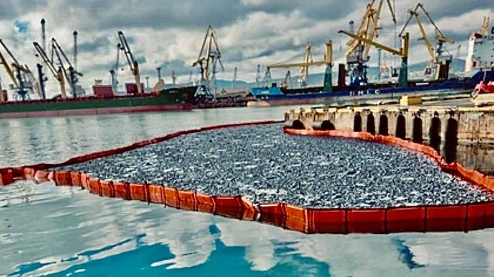 В Новороссийске ликвидировали разлив нефти площадью 300 кв. метров