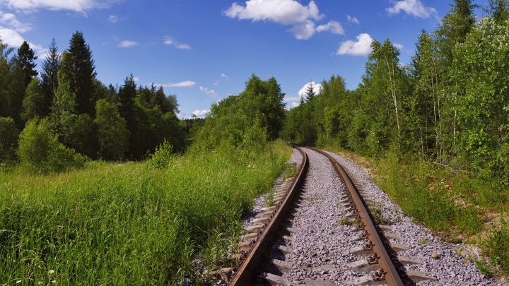 Бесплатная земля пользуется спросом: Власти Подмосковья облегчат работу фермерам