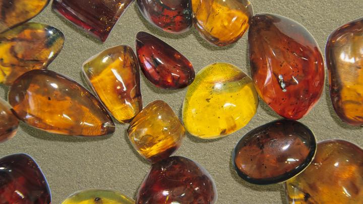 Из России попытались килограммами вывезти особо ценный янтарь. Груз перехватила ФСБ