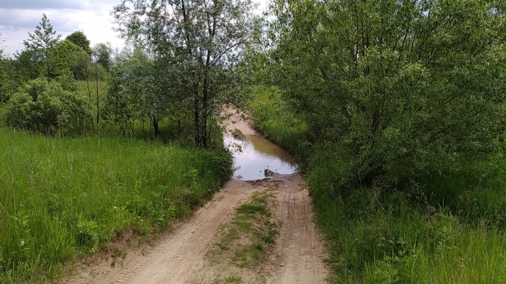 Во Владимирской области на федеральные деньги отремонтируют сельские дороги