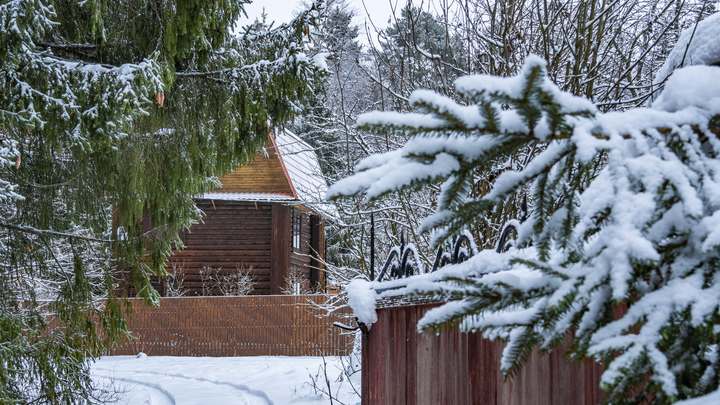 Москалькова потребовала прекратить раздрай в земельном вопросе многодетных