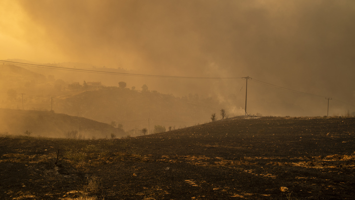 Шукшина опубликовала просьбу отчаявшихся в Якутии: Солнца не видно, с неба падает пепел