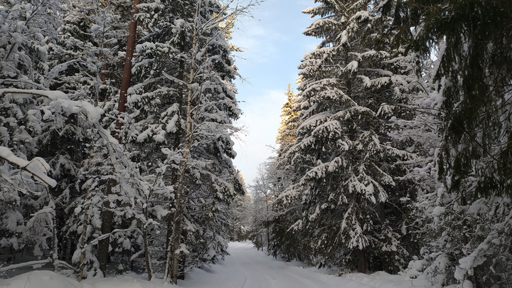 Синоптики рассказали, когда ждать снег в Краснодарском крае
